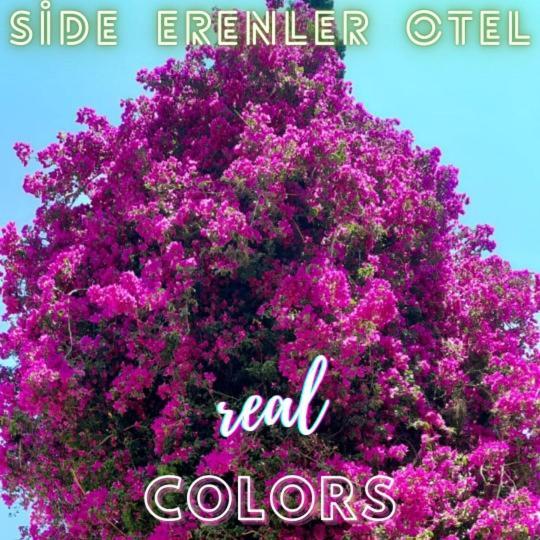 Otel Erenler